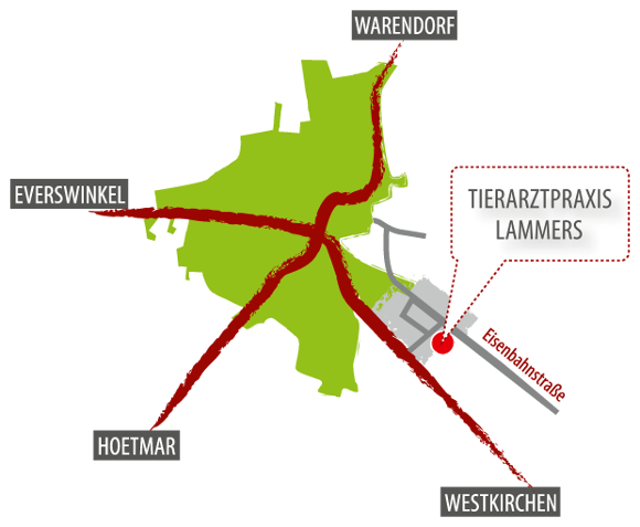 Anfahrt zur Tierarztpraxis Lammers in Warendorf